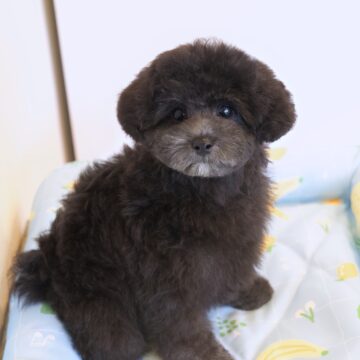 🐝こたわbb🤍シルバー✨男のコ☘️(青色くん💙)